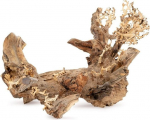 Norimpex Ton�ce drzewo Bonsai nr 50 70x50
