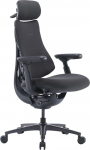 Libernovo OC1-PRO 48 cm Ergonomic Chair (Graphite)