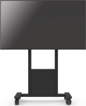 SMS Stojak podłogowy na monitor od 46'' (FMN031001)