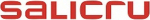 Salicru Zasilacz awaryjny UPS Interaktywny Salicru 663AA002254