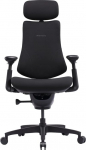 Libernovo LNOC1-SE 48 cm Ergonomic Chair (Black)