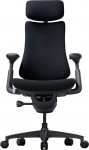Libernovo Omni 48 cm Ergonomic Chair (Black)