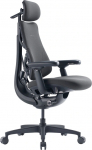 Libernovo Omni 45 cm Ergonomic Chair (Graphite)