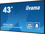 Iiyama Monitor iiyama ProLite LH4360UHS-B1AG