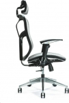 Bemondi Ergonomic office chair ERGO 500 grey