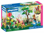 PLAYMOBIL haldjate p&auml;evane v&auml;ljas&otilde;it 72067