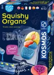 SQUICHY ORGANS arendav komplekt, 8&ndash;12-aastastele