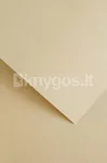 Dekoratiivpaber WOOD A4 kreemjas 220 g/m&sup2; 20 lehte