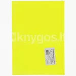 PROTOS A4 iseliimuv paber, 10 lehte, fluorkollane