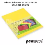 PenWord A4 kartong, 225 g/m&sup2;, 10 lehte, kollane