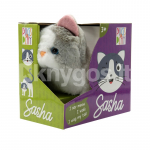 PUGS AT PLAY K&otilde;ndiv kass Sasha