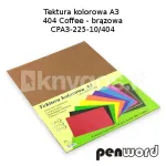 Kartonas A4/10l 225g PenWord rudas