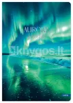AURORA A5 ruuduline vihik, 12 lk, 80 g/m&sup2;