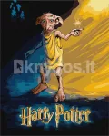 Maalimine numbrite j&auml;rgi &ndash; Harry Potteri Dobby-plakat, Warner Bros., 40 x 50 cm, karbis