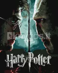 Maalimine numbrite j&auml;rgi &bdquo;Harry Potter&ldquo; &ndash; Harry ja Voldemort, Warner Bros, 40 &times; 50 cm, karbis