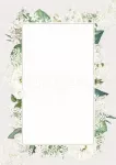 Diplomipaber 170 g/m&sup2; Bianco