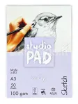 Visandiplokk "Studio" A5, 50 lehte, 100 g/m&sup2;, k&otilde;vakaaneline