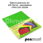 PenWord kartong A3 225 g/m&sup2;, 10 lehte, roheline