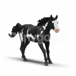 SCHLEICH HORSE CLUB Paintruun