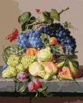 Maalimine numbrite j&auml;rgi: stilleben Amalie K&auml;rcher, 40 x 50 cm, karbis