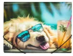 A4 mapp kummipaelaga CHILLOUT DOG
