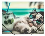 A4 kaust kummikinnitusega CHILLOUT CAT