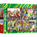 TREFL Puslede komplekt Naljakad loomad, 4x250 osa