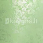 Dekoratiivpaber LISCIE A4 heleroheline 250 g/m&sup2;, 20 lehte