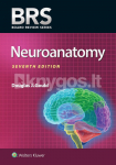 BRS Neuroanatomy