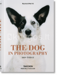 The Dog in Photography 1839&ndash;Today