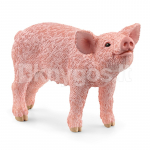 SCHLEICH FARM WORLD Par&scaron;elis