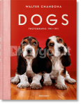 Walter Chandoha. Dogs. Photographs 1941&ndash;1991