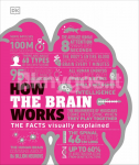 How the Brain Works