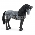 SCHLEICH HORSE CLUB &bdquo;Pura Raza Espa&ntilde;ola&ldquo; kumelė