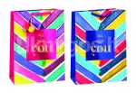 COLORFUL kott L