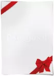 Diplomipaber 170 g/m&sup2; Verso C