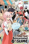 That Time I Got Reincarnated as a Slime, Vol. 8 (Light Novel)