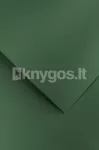Dekoratyvinis popierius PEARL A4 žalias 210g 20lap
