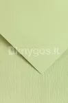 Dekoratiivpaber OAK A4 kreemjas 230 g/m&sup2; 20 lehte