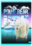 Vihik A4 96 lk 70 g/m&sup2; ANIMALplanet jooneline