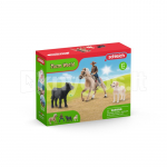 SCHLEICH FARM WORLD vesternratsutamine