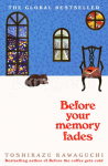 Before Your Memory Fades