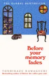 Before Your Memory Fades