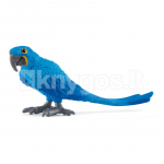 SCHLEICH WILD LIFE Hiacintinė mėlynoji ara