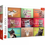 TREFL Pusle Kassid, 1500 osa