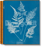 Anna Atkins. Cyanotypes