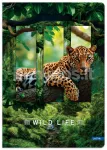 WILD LIFE A4 vihik, 96 lehte, 70 g/m&sup2;, ruuduline