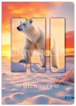 Vihik A5, 96 lk, 70 g/m&sup2;, ruuduline, WILD LIFE