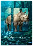 WILD LIFE m&auml;rkmik A5, 96 lk, 70 g/m&sup2;, jooneline