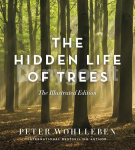 The Hidden Life of Trees: The Illustrated Edition